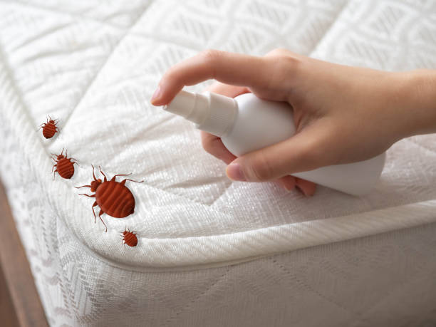 Insect Control in Riva, MD